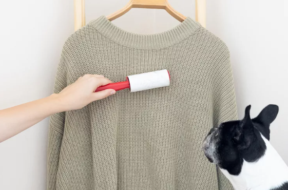 hand lint rolling sweater next to dog