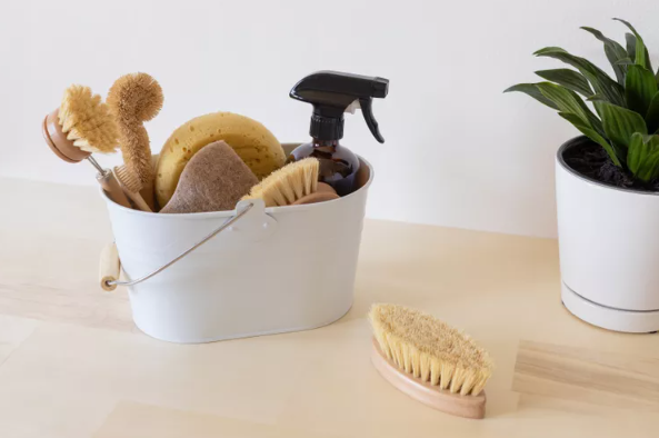 cleaning supplies in white bucket next to plant
